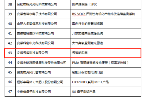 恭喜！云智能印章入選安徽省第九批信息消費(fèi)創(chuàng)新產(chǎn)品名單！(圖3)